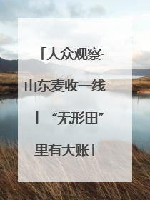 大众观察·山东麦收一线丨“无形田”里有大账