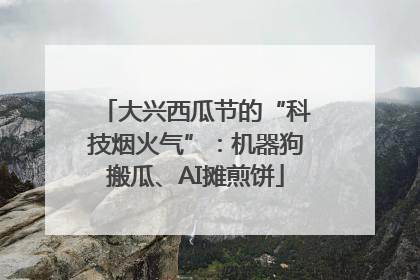 大兴西瓜节的“科技烟火气”：机器狗搬瓜、AI摊煎饼