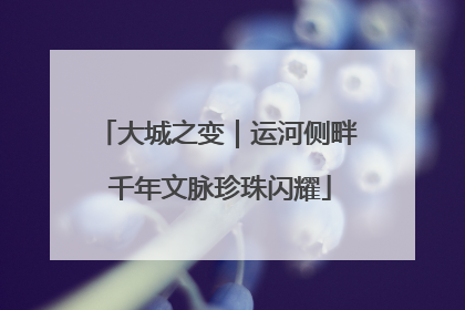 大城之变｜运河侧畔 千年文脉珍珠闪耀