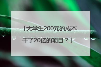大学生200元的成本干了20亿的项目？