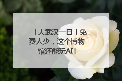 大武汉一日丨免费人少，这个博物馆还能玩AI