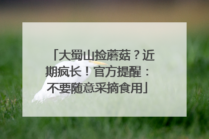 大蜀山捡蘑菇？近期疯长！官方提醒：不要随意采摘食用