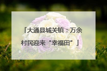大通县城关镇：万余村民迎来“幸福田”
