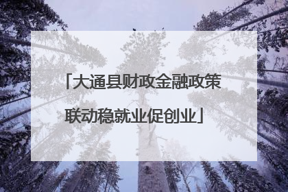 大通县财政金融政策联动稳就业促创业