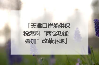 天津口岸船供保税燃料“两仓功能叠加”改革落地