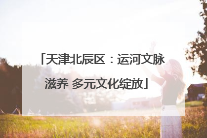 天津北辰区：运河文脉滋养 多元文化绽放