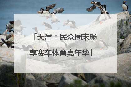 天津：民众周末畅享赛车体育嘉年华