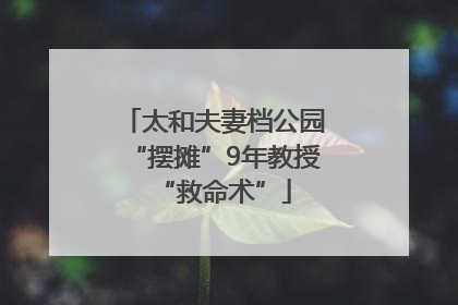 太和夫妻档公园“摆摊”9年教授“救命术”