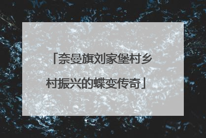 奈曼旗刘家堡村乡村振兴的蝶变传奇