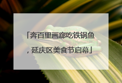 奔百里画廊吃铁锅鱼，延庆区美食节启幕