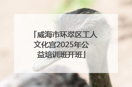 威海市环翠区工人文化宫2025年公益培训班开班