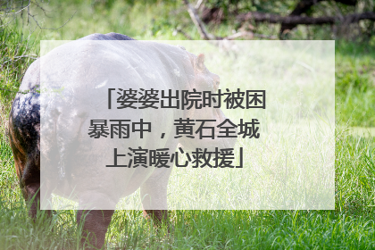 婆婆出院时被困暴雨中，黄石全城上演暖心救援