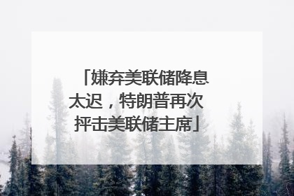 嫌弃美联储降息太迟，特朗普再次抨击美联储主席