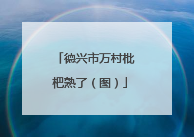 德兴市万村枇杷熟了（图）