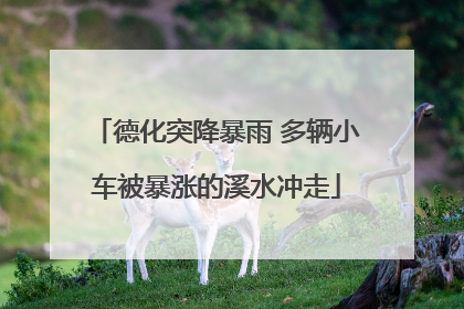 德化突降暴雨 多辆小车被暴涨的溪水冲走