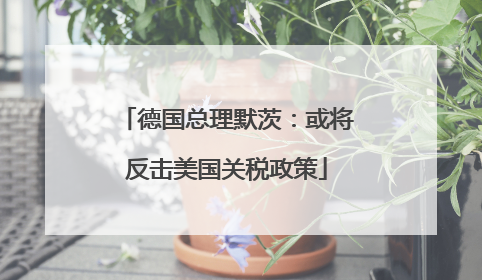 德国总理默茨：或将反击美国关税政策