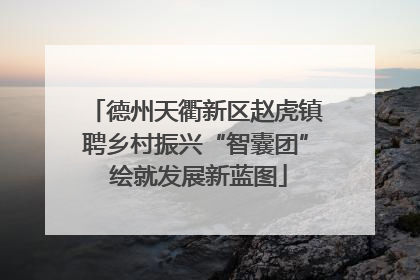 德州天衢新区赵虎镇聘乡村振兴“智囊团” 绘就发展新蓝图