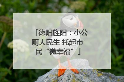 德阳旌阳：小公厕大民生 托起市民“微幸福”