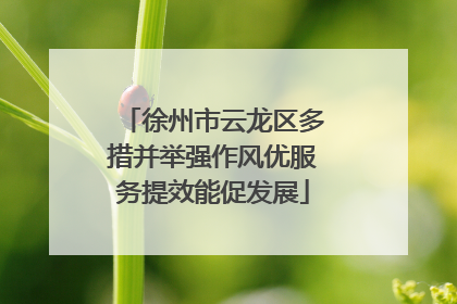 徐州市云龙区多措并举强作风优服务提效能促发展