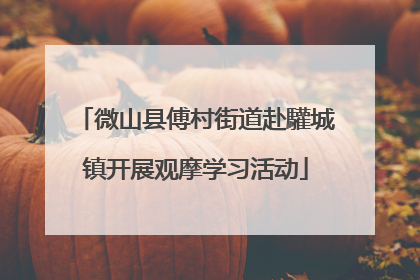 微山县傅村街道赴驩城镇开展观摩学习活动