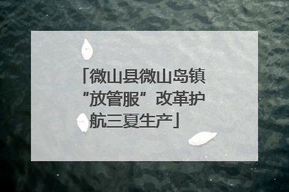 微山县微山岛镇“放管服”改革护航三夏生产