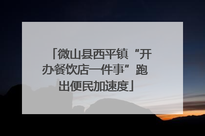 微山县西平镇“开办餐饮店一件事”跑出便民加速度