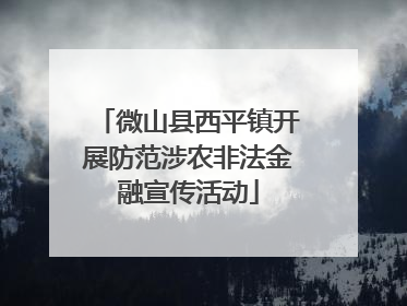 微山县西平镇开展防范涉农非法金融宣传活动