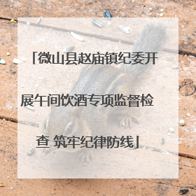 微山县赵庙镇纪委开展午间饮酒专项监督检查 筑牢纪律防线