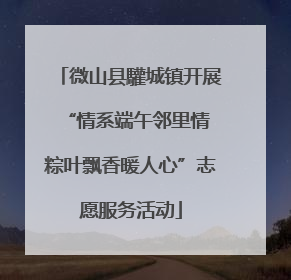 微山县驩城镇开展“情系端午邻里情 粽叶飘香暖人心”志愿服务活动