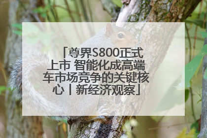 尊界S800正式上市 智能化成高端车市场竞争的关键核心丨新经济观察