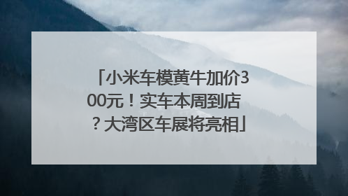 小米车模黄牛加价300元！实车本周到店？大湾区车展将亮相