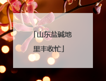 山东盐碱地里丰收忙