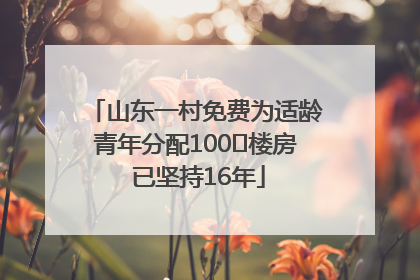 山东一村免费为适龄青年分配100㎡楼房 已坚持16年