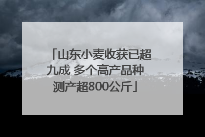 山东小麦收获已超九成 多个高产品种测产超800公斤