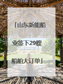 山东新能船业签下29艘船舶大订单
