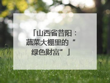 山西省昔阳：蔬菜大棚里的“绿色财富”