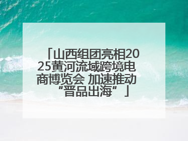 山西组团亮相2025黄河流域跨境电商博览会 加速推动“晋品出海”