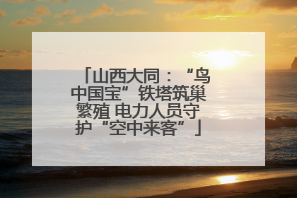山西大同：“鸟中国宝”铁塔筑巢繁殖 电力人员守护“空中来客”