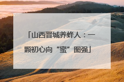 山西晋城养蜂人：一颗初心向“蜜”图强