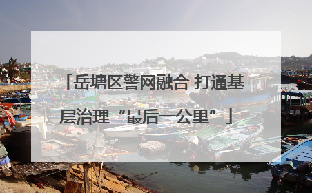 岳塘区警网融合 打通基层治理“最后一公里”