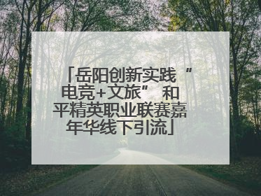 岳阳创新实践“电竞+文旅” 和平精英职业联赛嘉年华线下引流