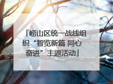崂山区统一战线组织“智览新篇 同心奋进”主题活动