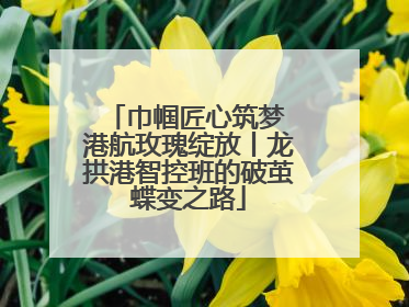 巾帼匠心筑梦 港航玫瑰绽放丨龙拱港智控班的破茧蝶变之路
