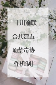 川渝联合共建五项禁毒协作机制