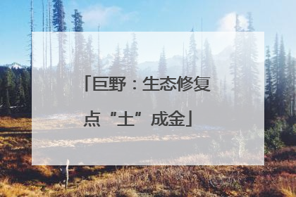 巨野：生态修复点“土”成金