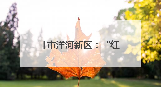 市洋河新区：“红蓝”交融 共绘乡村振兴幸福画卷