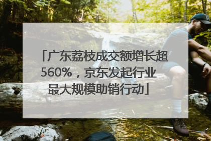 广东荔枝成交额增长超560%，京东发起行业最大规模助销行动
