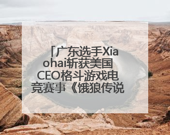 广东选手Xiaohai斩获美国CEO格斗游戏电竞赛事《饿狼传说》项目冠军