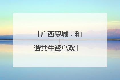 广西罗城：和谐共生鹭鸟欢