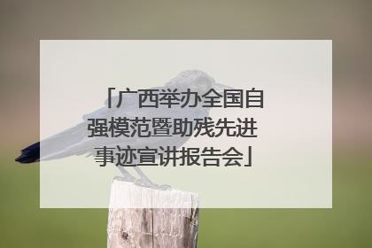 广西举办全国自强模范暨助残先进事迹宣讲报告会
